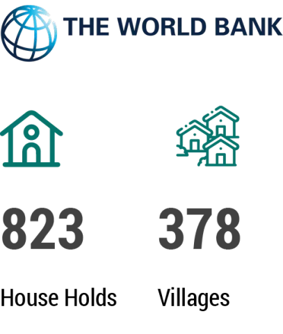 social protection